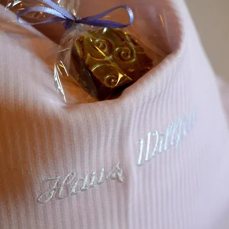 Gaestehaus Willfert *