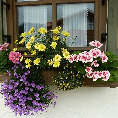 Lejlighed Gaestehaus Willfert Reit im Winkl