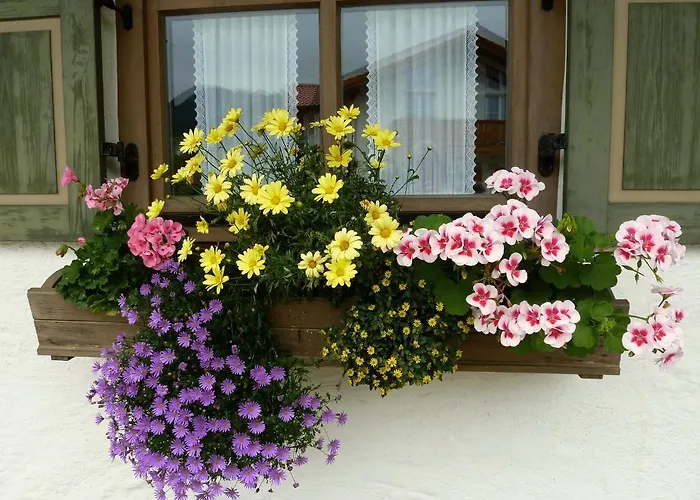 Apartamento Gaestehaus Willfert Reit im Winkl